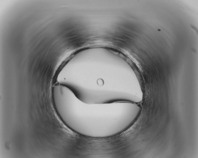 X0000094421477200711291538