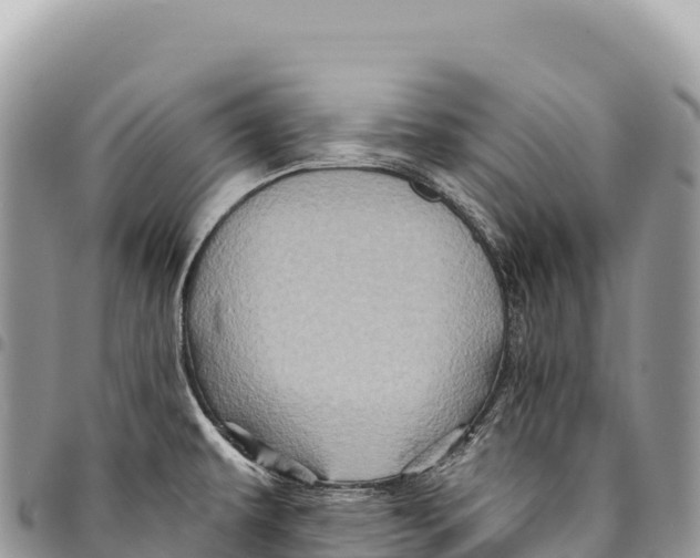 X0000094421479200711291538