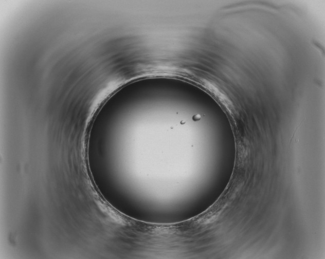 X0000094421480200711291537