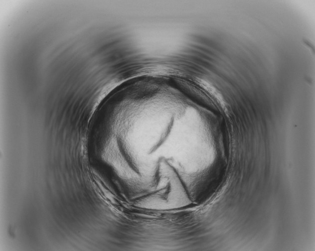 X0000094421481200711291537