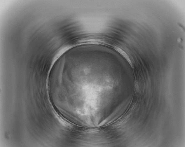 X0000094421482200711291537