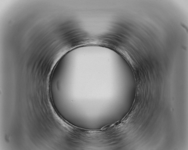 X0000094421483200711291537