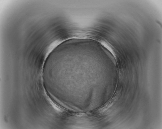 X0000094421485200711291537