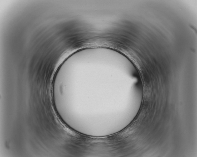 X0000094421486200711291537