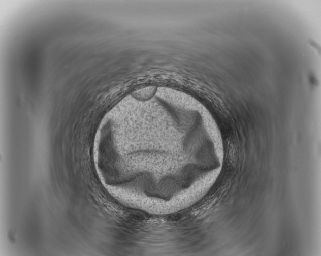 X0000094421489200711291537