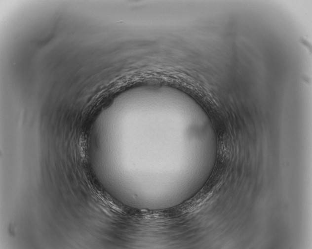 X0000094421490200711291537