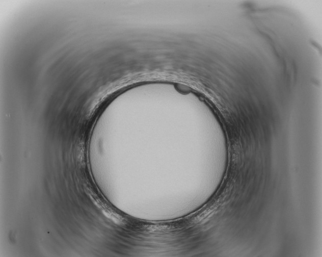 X0000094421499200711291537