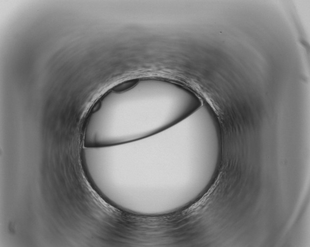 X0000094421500200711291537