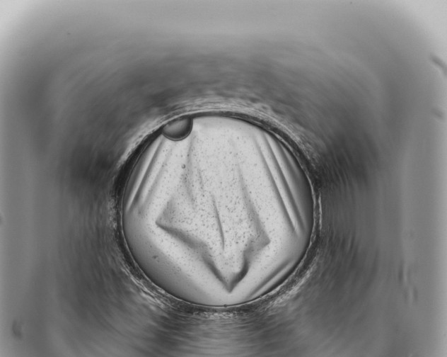 X0000094421501200711291537