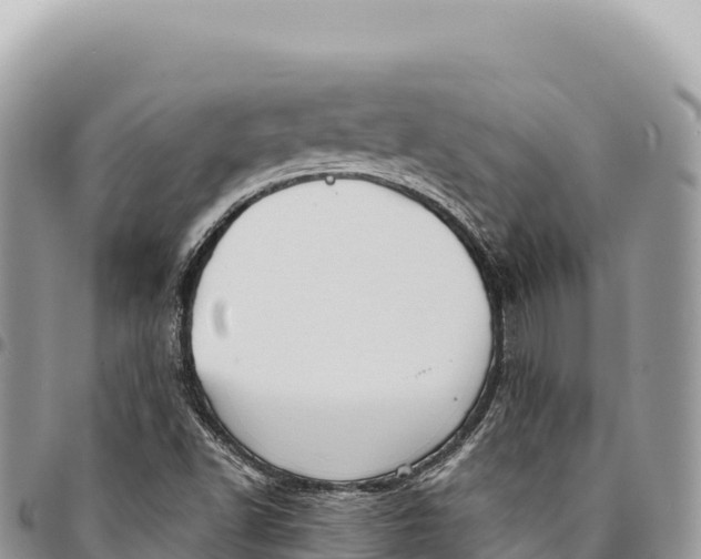 X0000094421502200711291537