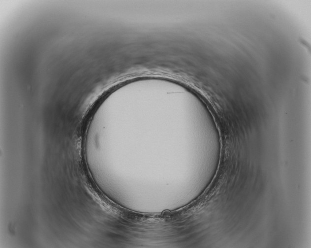 X0000094421503200711291537
