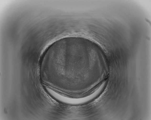X0000094421506200711291537