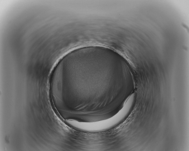 X0000094421508200711291537