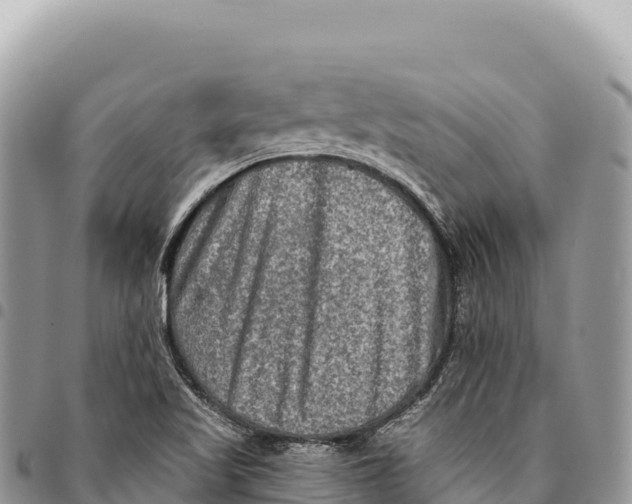 X0000094421509200711291537