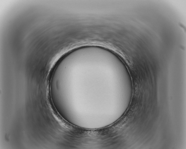 X0000094421511200711291537