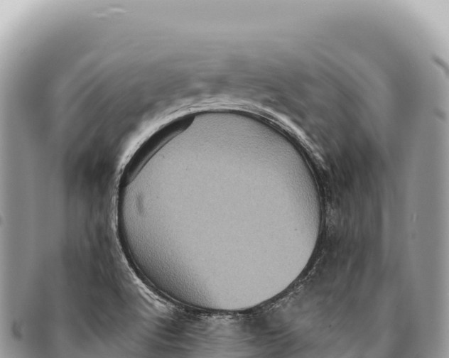 X0000094421512200711291537