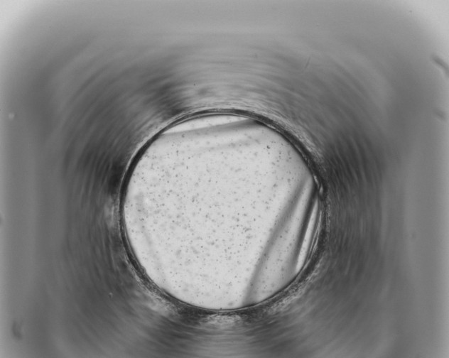 X0000094421513200711291537