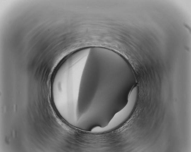X0000094421515200711291537
