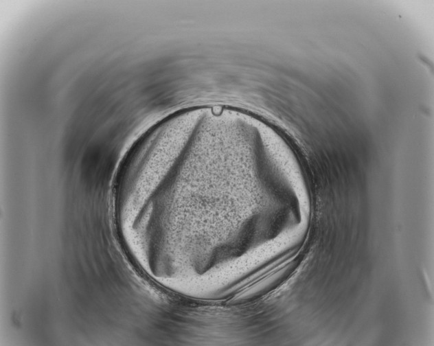 X0000094421517200711291537