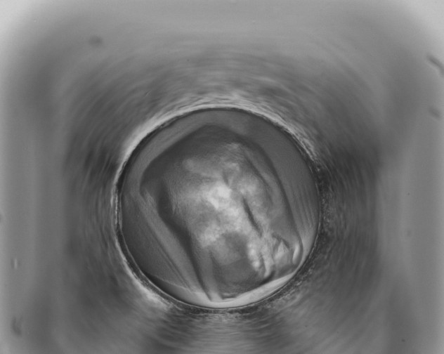 X0000094421519200711291537
