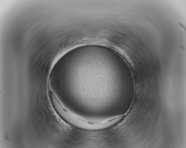 X0000094421520200711291537