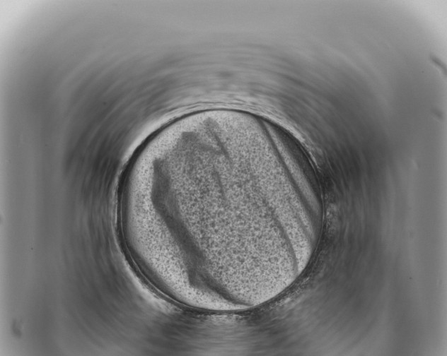 X0000094421523200711291537