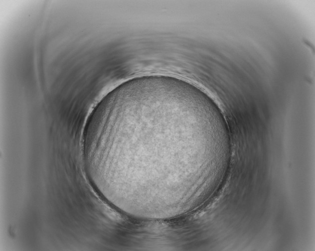 X0000094421525200711291537