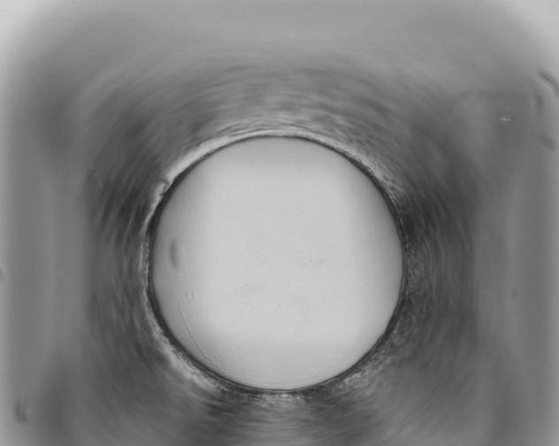 X0000094421526200711291537