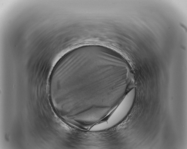 X0000094421527200711291537