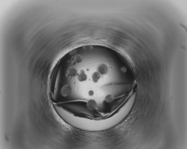 X0000094421528200711291537