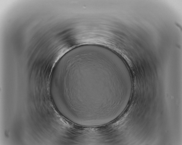 X0000094421529200711291537