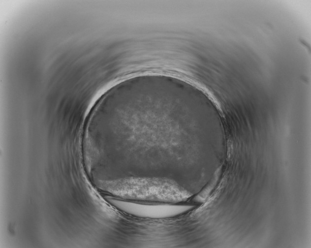 X0000094421530200711291537