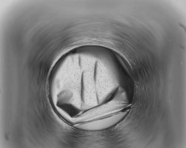 X0000094421531200711291537