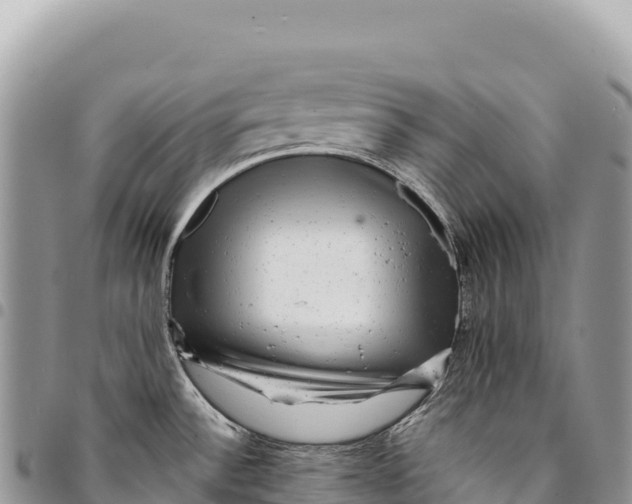 X0000094421532200711291537