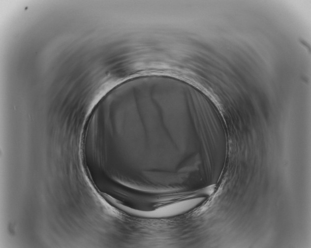X0000094421533200711291537