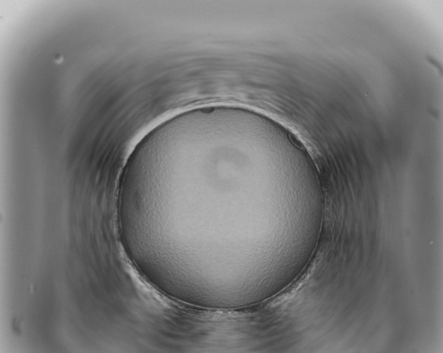 X0000094421534200711291537