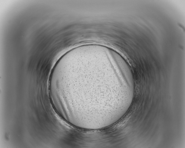X0000094421535200711291537