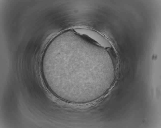 X0000094420001200712061102