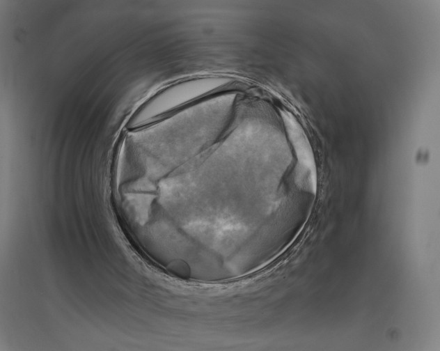 X0000094420002200712061102