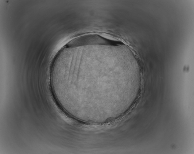 X0000094420005200712061102