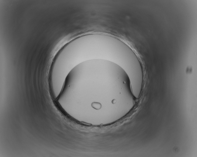 X0000094420007200712061102