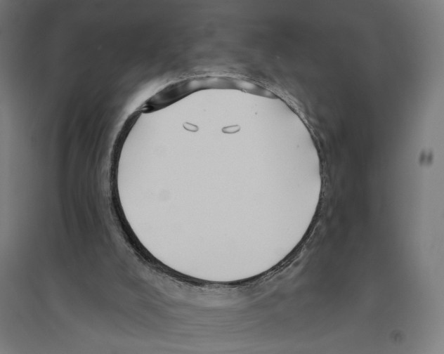 X0000094420008200712061102