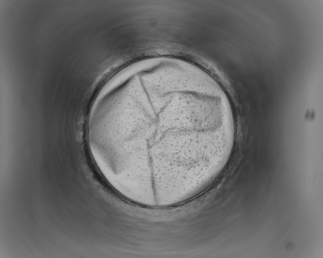 X0000094420010200712061102