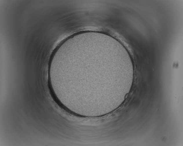 X0000094420011200712061102