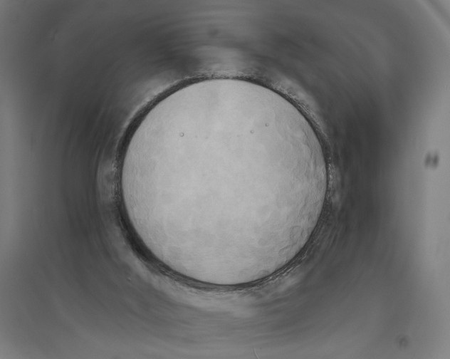 X0000094420012200712061102