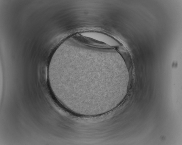 X0000094420013200712061102