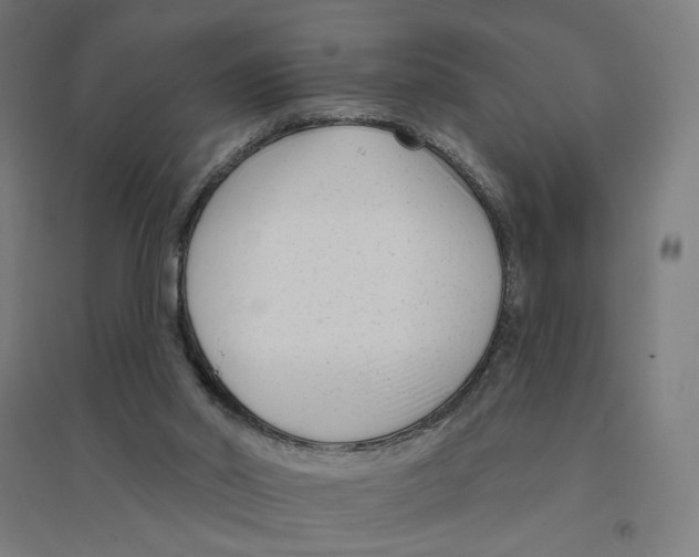 X0000094420014200712061102