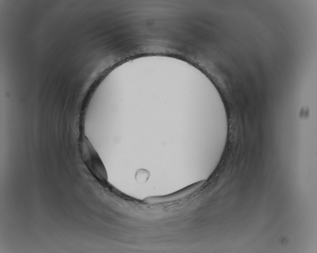 X0000094420015200712061102