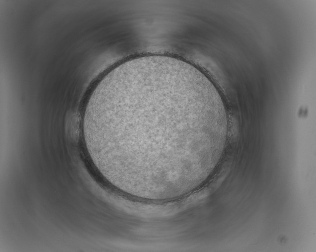 X0000094420016200712061102