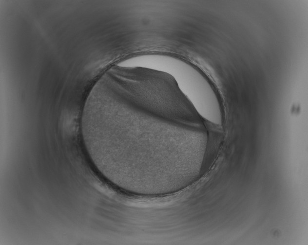 X0000094420017200712061102